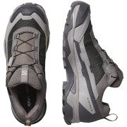 Damesschoenen Salomon X Ultra 5 Gore-Tex