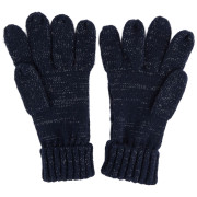 Handschoenen Regatta Multimix Glove