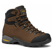 Wandelschoenen dames Asolo Fandango Pro GV bruin brown/A519