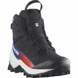 Herenschoenen Salomon Crosstrak Powder Waterproof Equipe zwart Black / Black / Black