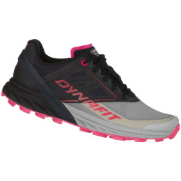 Hardloopschoenen dames Dynafit Alpine W grijs 0545 - Alloy/Black Out