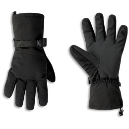 Skihandschoenen Dare 2b Pinnacle Glove zwart Black