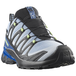 Hardloopschoenen heren Salomon Xa Pro 3D V9 GTX Icon blauw/lichtblauw Black / Brunnera Blue / Surf The Web