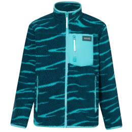Fleecevest kinderen Regatta Junior Frankie Warm Fleece Mediterranea Zebra groen Mediterranea Zebra