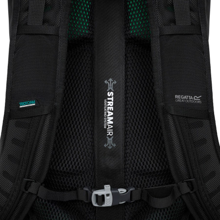 Rugzak Regatta Blackfell IV 35L