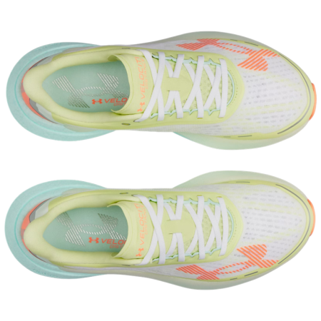 Herenschoenen Under Armour Velociti Distance