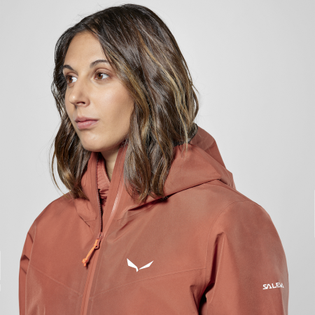 Gore-Tex-jas Salewa Puez Gtx 3L Epe Jacket W