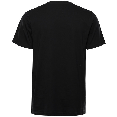 T-shirt heren Alpine Pro Bolen 2