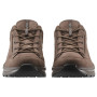 Herenschoenen Lowa Renegade Evo Gtx Lo