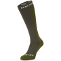 Sokkenmaat: 36-38 / Kleur: groen