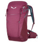 Rugzak Salewa Alp Trainer 20 Ws bordeauxrood TawnyPort