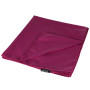 Kleur: paars
